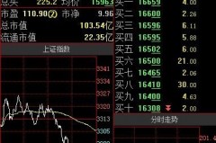 华龙证券大智慧股票诊断大揭秘（但别说你听见了）