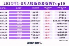 《8月17日上市的新股》震撼盘面，千万别错过这家未来大咖！