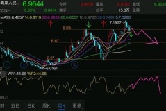 美元兑人民币行情走势剖析
