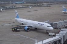 蓝海航空公司：从票价到财报的全景航拍