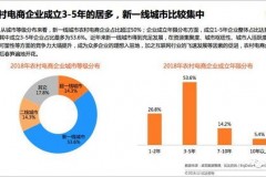 农村电商的战略发展