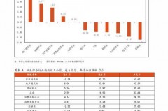 国投资本股票行业分析