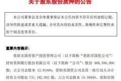 第一大股东补充质押：这场 “拆迁” 你了解多少？