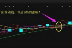 蓝山科技龙头股票有哪些？