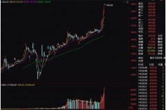 上海黄金交易所即期合约全解析（超轻松版）