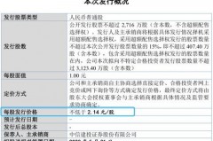 IPO过会后终止发行的幕后操作—一座财务谜城的探索