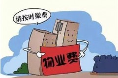 如何支付陶冲湖物业费与水费，轻松又省心
