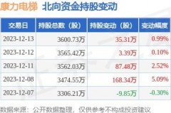 002367康力电梯股吧的日常
