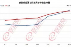今日安徽最新猪价行情大曝光