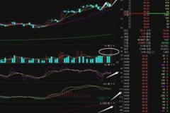 尾盘主力资金流入股价——盘头牧人如何在收盘前撒点“黄金”