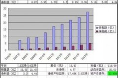成长股的净资产收益率高吗