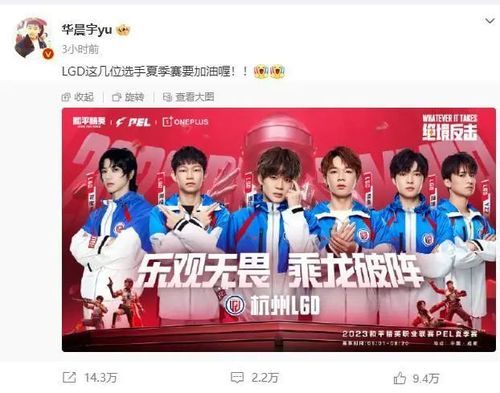 华晨宇认缴20万入股LGD分部 华晨宇认缴20万入股LGD分部