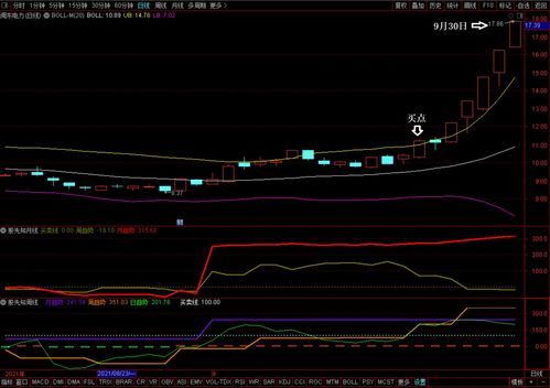 龙头股节后行情爆表指南! 节后龙头股票走势预测
