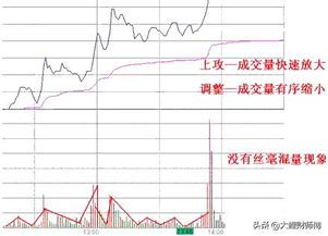 选股策略怎么看数据图表