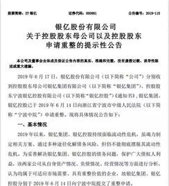 银亿集团申请破产