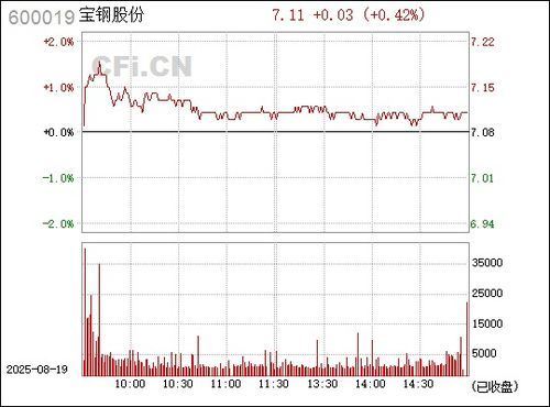 600019宝钢股份