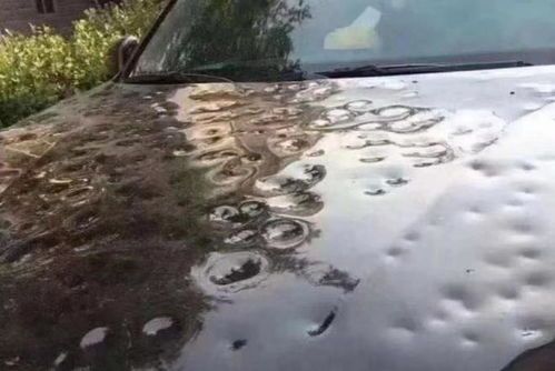 冰雹把车砸坏了保险公司赔吗