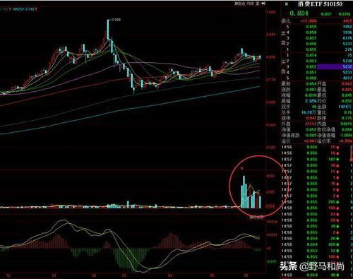 端午节A股大盘观测报告:股民的午休时刻 端午节a股大盘