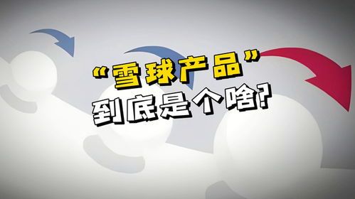 雪球产品是什么意思