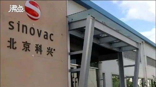 关于北京科兴违法犯罪