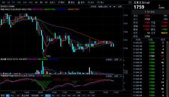 欧洲玉米期货走势分析视频