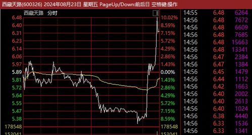 西藏天路股票
