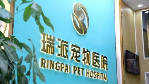 瑞派宠物医院