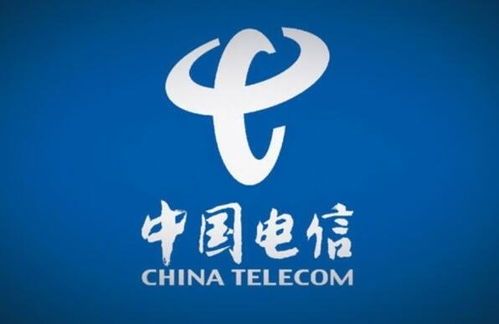 中国电信上市全记录:背后的商业密码与热闹现场 中国电信上市