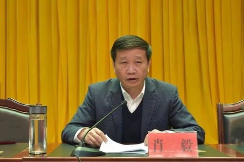 肖毅非法挖矿被双开