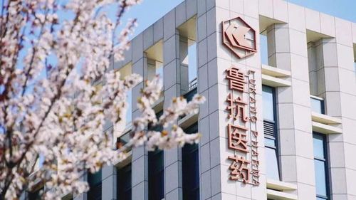 山东鲁抗医药股份有限公司