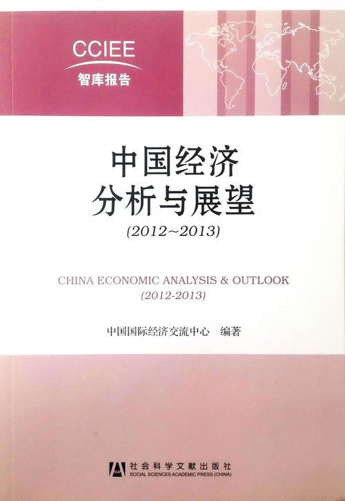 中国经济深度蓝图:背后的数据和策略 中国经济展望论文