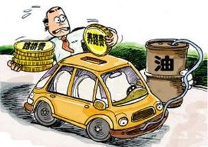 车视乐装一个多少钱? 车视乐装一个多少钱