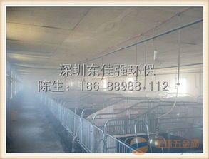 养猪场养鸡场增值税税率