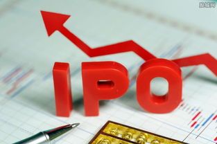 ipo股市里是什么