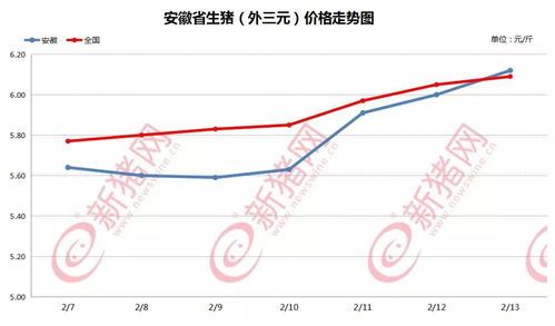 今日安徽最新猪价行情
