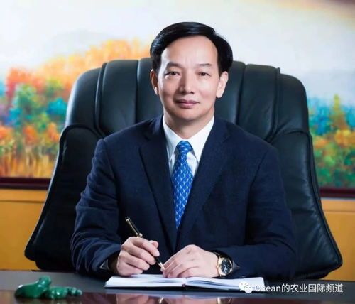 陈丹农业银行行长简历