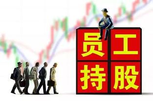 员工持股:谁说公司使命不该有股权? 所有公司都实行员工持股
