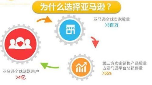 小白深圳跨境电商公司