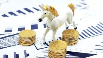 独角兽基金怎么看分红 独角兽基金怎么看分红