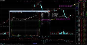 什么是经典ST? 什么是经典st