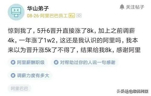 阿里巴巴今年p7工资多少