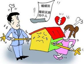 租房人身财产怎么分配,别再让金属破杯子变成复杂法理了 租房人身财产怎么分配