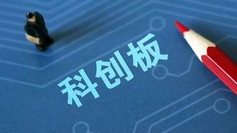 8月科创板新星揭晓 8月启航科创板上市的新股