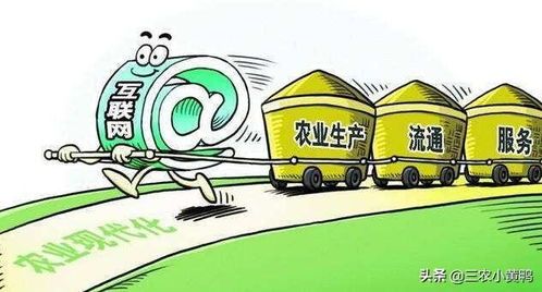 农村电商发展第一步