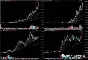 港股和a股股东占比