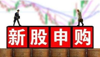 证券法新股发行的条件