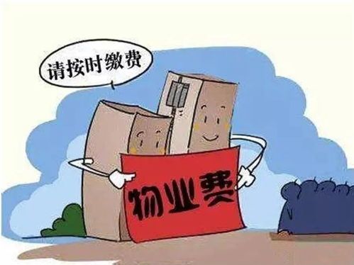 如何支付陶冲湖物业费与水费,轻松又省心 陶冲湖物业费跟水费怎么交