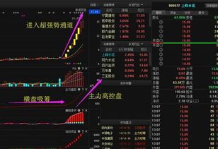 主力涨停板吸筹后连续大跌