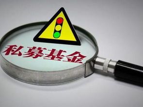 私募基金大量买a股
