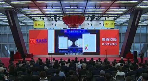 看懂 002938 股票背后的奥秘 002938